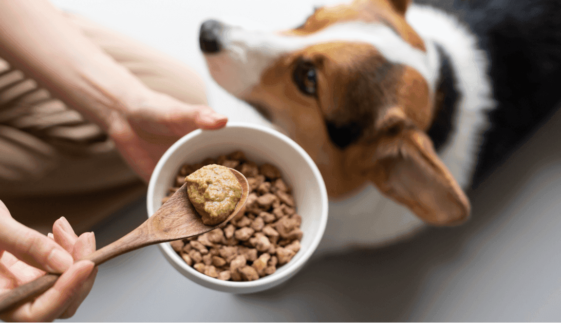 Subscription Meal Plan